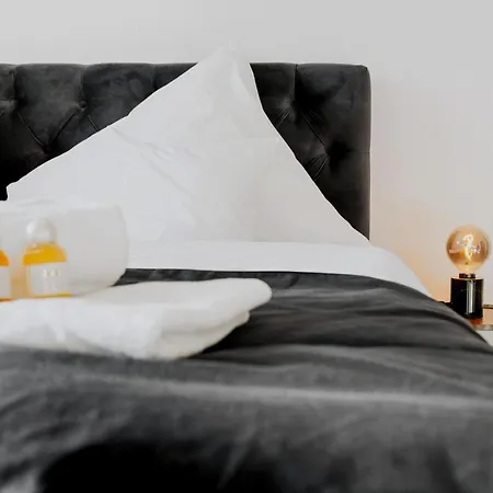 Blissplace 3 Zi Premium Nahe Getec Arena Mit Kingsize Betten Und Balkon